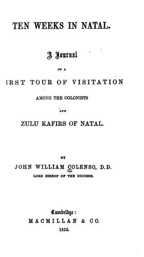Cover for Ten weeks in Natal.