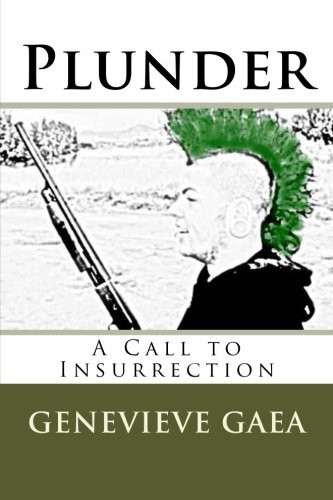 Cover for Plunder