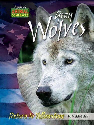 Cover for Gray Wolves