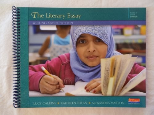 Cover for The Literary Essay