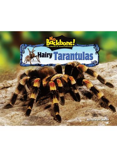 Cover for Hairy Tarantulas