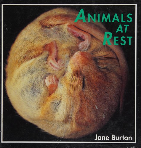 Cover for Animals at rest