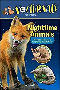 Cover for The Nocturnals Presents Fun Nighttime Animals