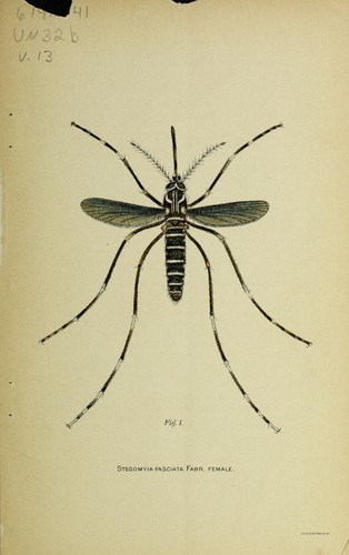Cover for Bulletin on organization and progress of the Institute