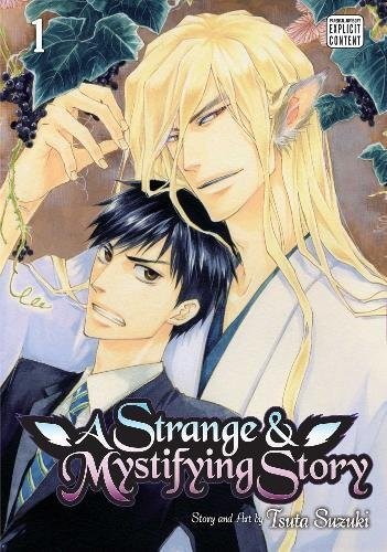 Cover for A Strange and Mystifying Story, Vol. 1
