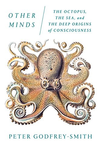 Cover for Other Minds