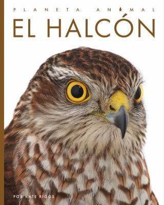 Cover for Halcón