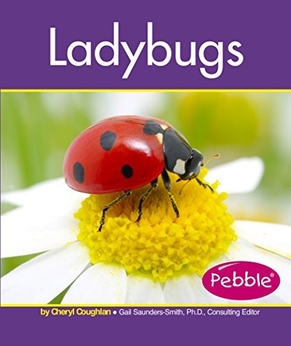 Cover for Ladybugs