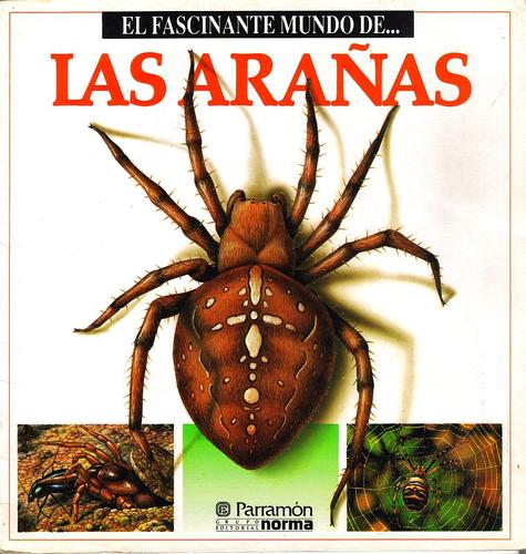 Cover for El Fascinante Mundo de las Arañas
