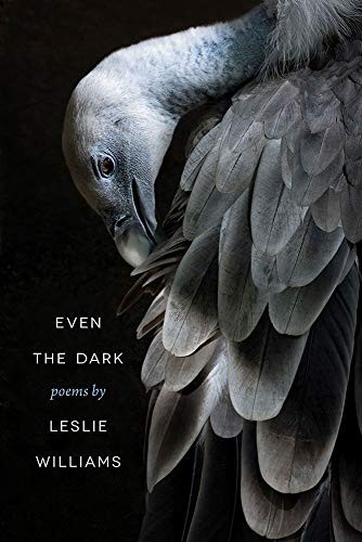 Cover for Even the Dark