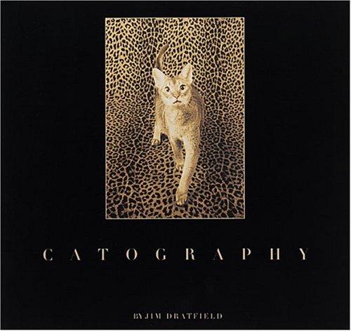 Cover for Catography