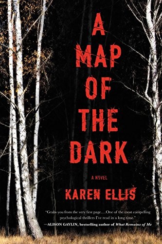 Cover for A Map of the Dark