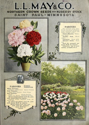 Cover for Northern grown seeds and nursery stock