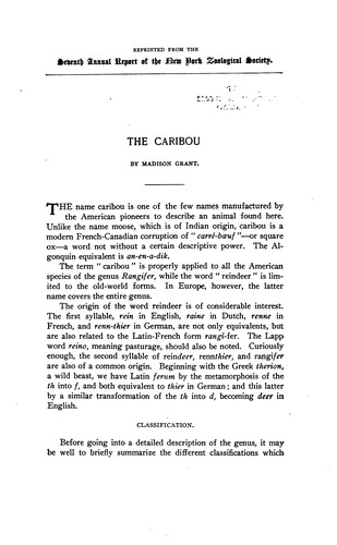 Cover for The Caribou