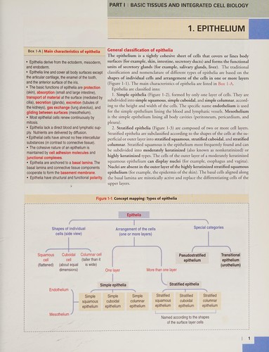 Cover for Histology and cell biology