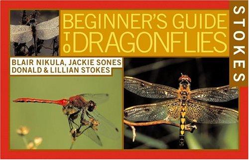 Cover for Stokes Beginner's Guide to Dragonflies
