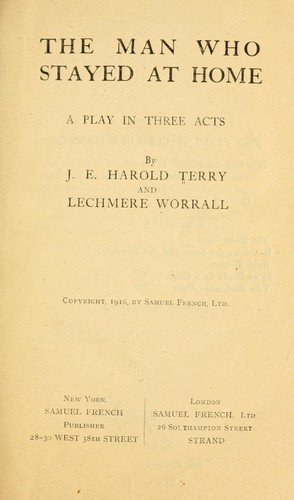 Cover for The man who stayed at home