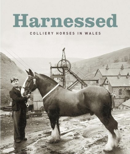Cover for Harnessed