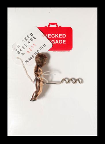 Cover for Checked baggage