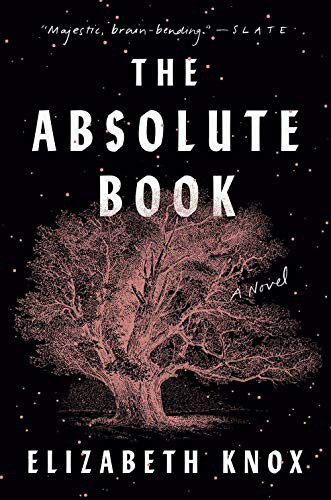 Cover for The Absolute Book