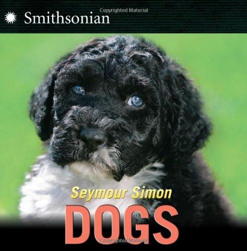Cover for Dogs