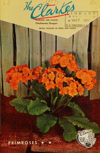 Cover for Primroses