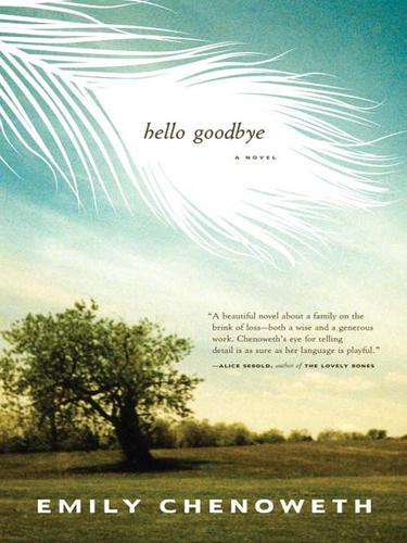Cover for Hello Goodbye