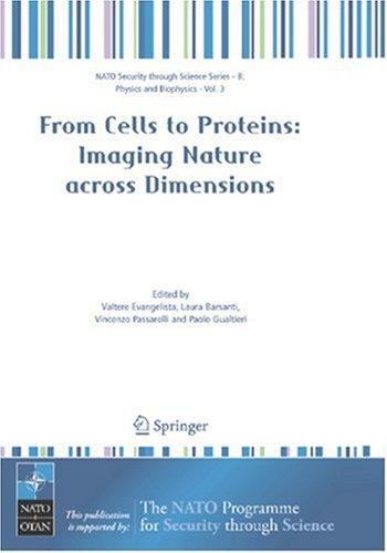 Cover for From Cells to Proteins: Imaging Nature across Dimensions: Proceedings of the NATO Advanced Study Institute, held in Pisa, Italy, 12-23 September 2004 (NATO ... Security Series B: Physics and Biophysics)