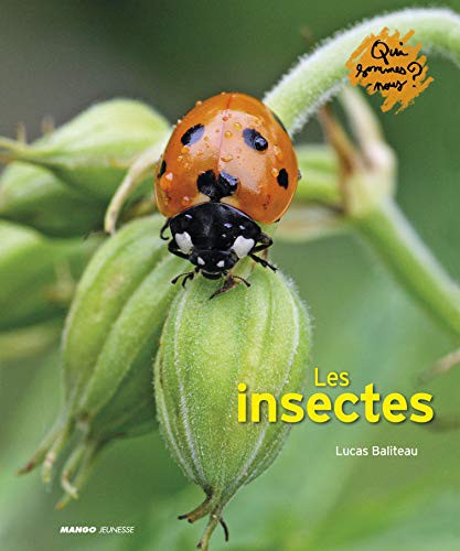 Cover for LES INSECTES