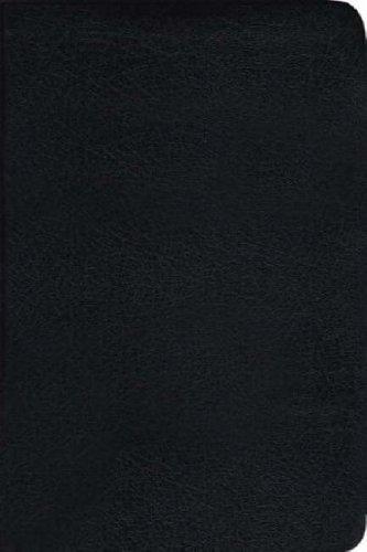 Cover for Today's NIV Popular with Bible Guide (Bible Tniv)