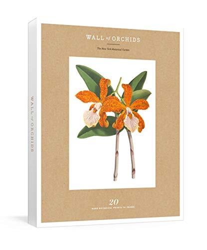Cover for Wall of Orchids