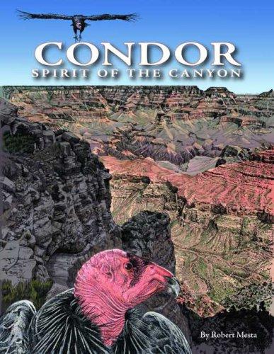 Cover for Condor
