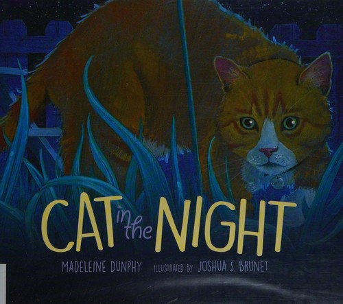 Cover for Cat in the Night