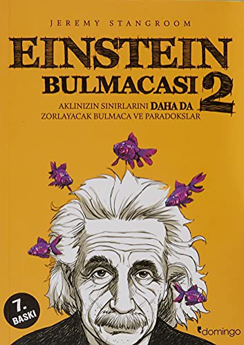Cover for Einstein Bulmacasi 2