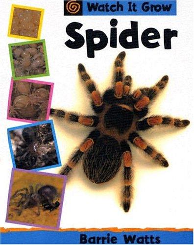 Cover for Spider (Watch It Grow)