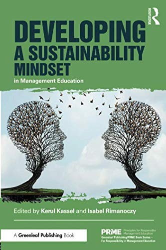 Cover for Developing a Sustainability Mindset in Management Education