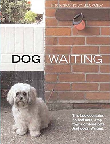 Cover for Dog Waiting