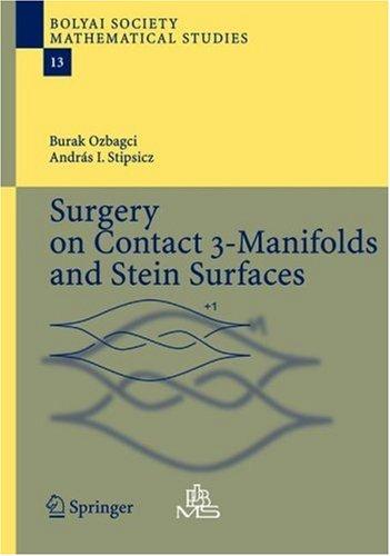 Cover for Surgery on Contact 3-Manifolds and Stein Surfaces (Bolyai Society Mathematical Studies)