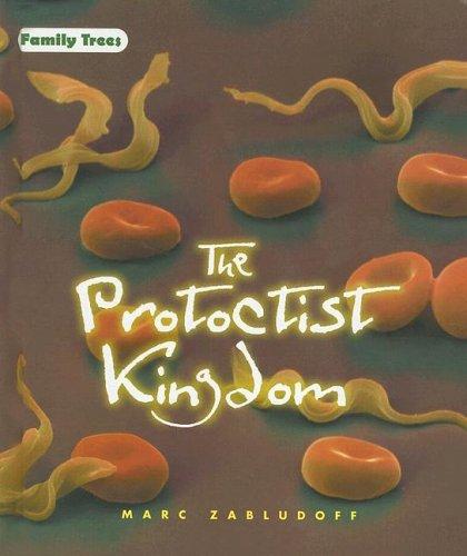 Cover for The Protoctist kingdom