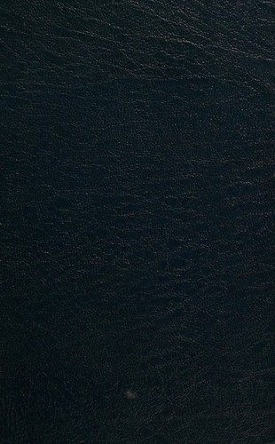 Cover for Beyond these voices