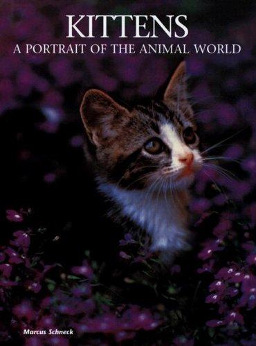Cover for Kittens
