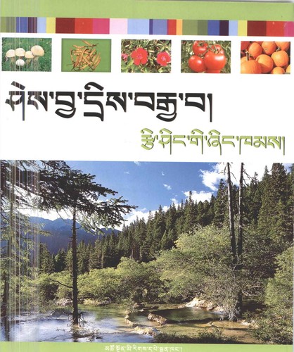Cover for shes bya dris brgya ba/ rtsi shing gi zhing khams