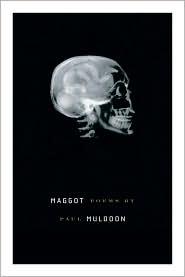 Cover for Maggot