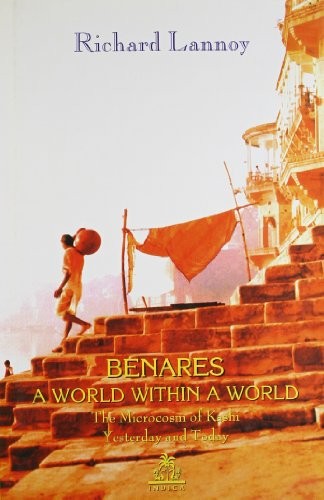 Cover for A World Within a World