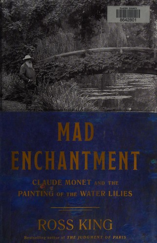 Cover for Mad enchantment