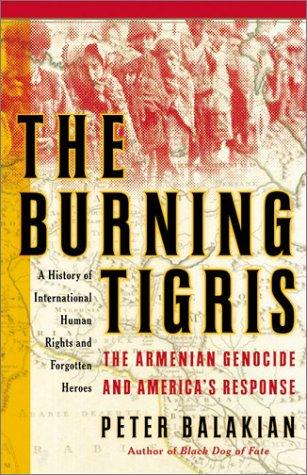 Cover for The Burning Tigris