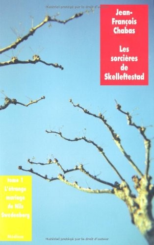 Cover for Les sorcières de Skelleftestad, Tome 1