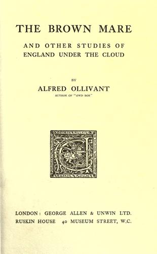 Cover for The brown mare