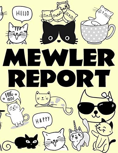 Cover for Mewler Report