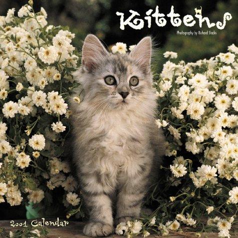 Cover for Kittens